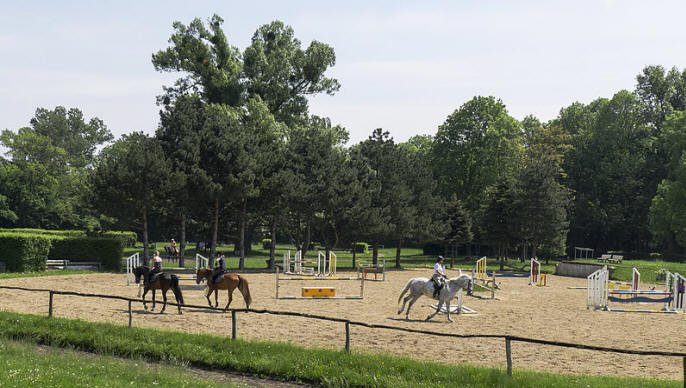 File:Wien 02 Prater Ameiswiese a.jpg