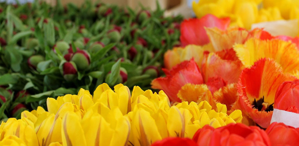Colorful display of tulips and fresh produce at a Naschmarkt Vienna stall